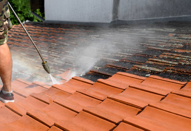 Best Pressure Washing Patio  in Dogtown, CA