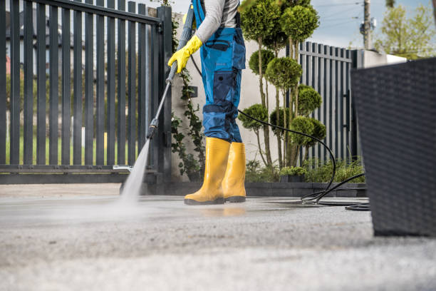 Best Sidewalk Pressure Washing  in Dogtown, CA
