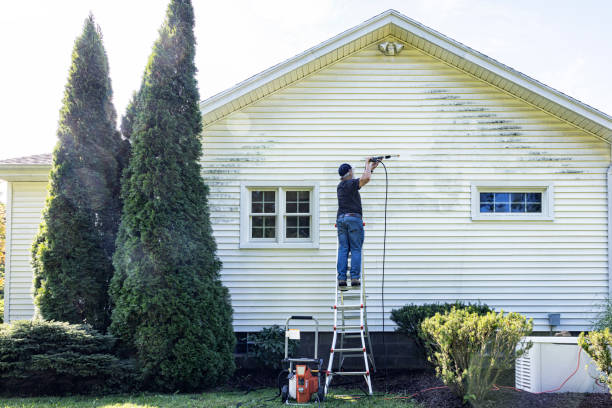 Best Residential Pressure Washing Services  in Dogtown, CA