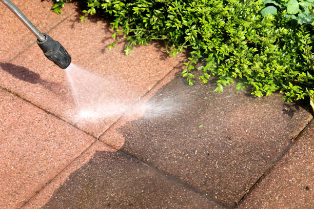 Best Deck Cleaning Services  in Dogtown, CA